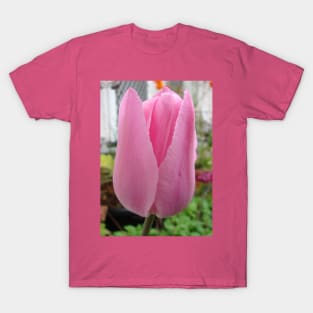 Pink Tulip Flower T-Shirt